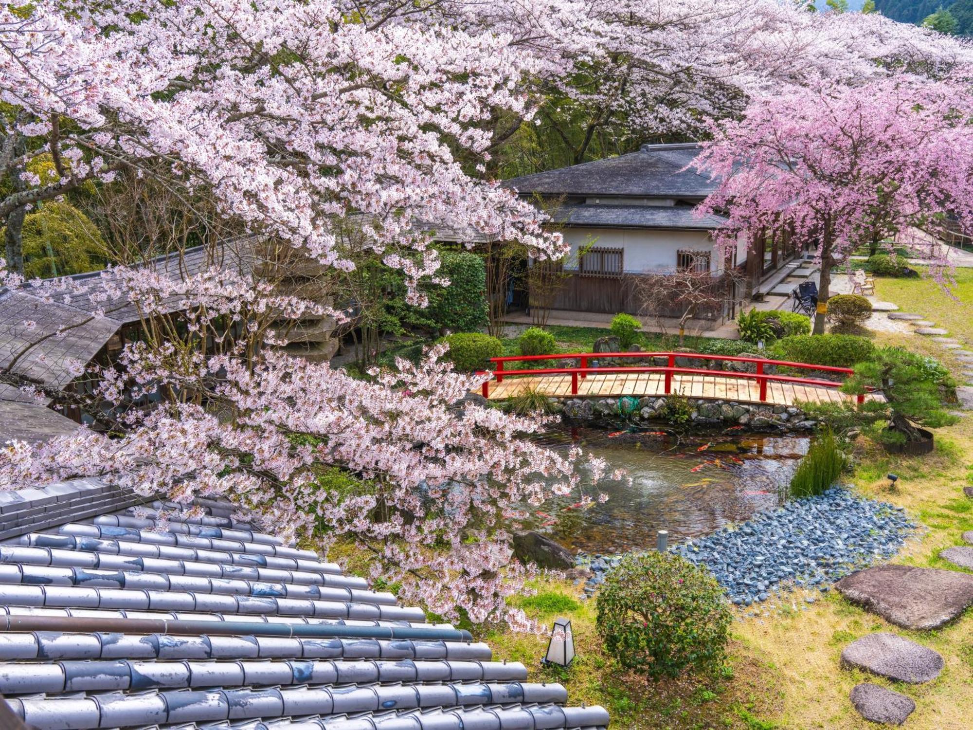 Oukai Villa Izumi Izumi  Экстерьер фото