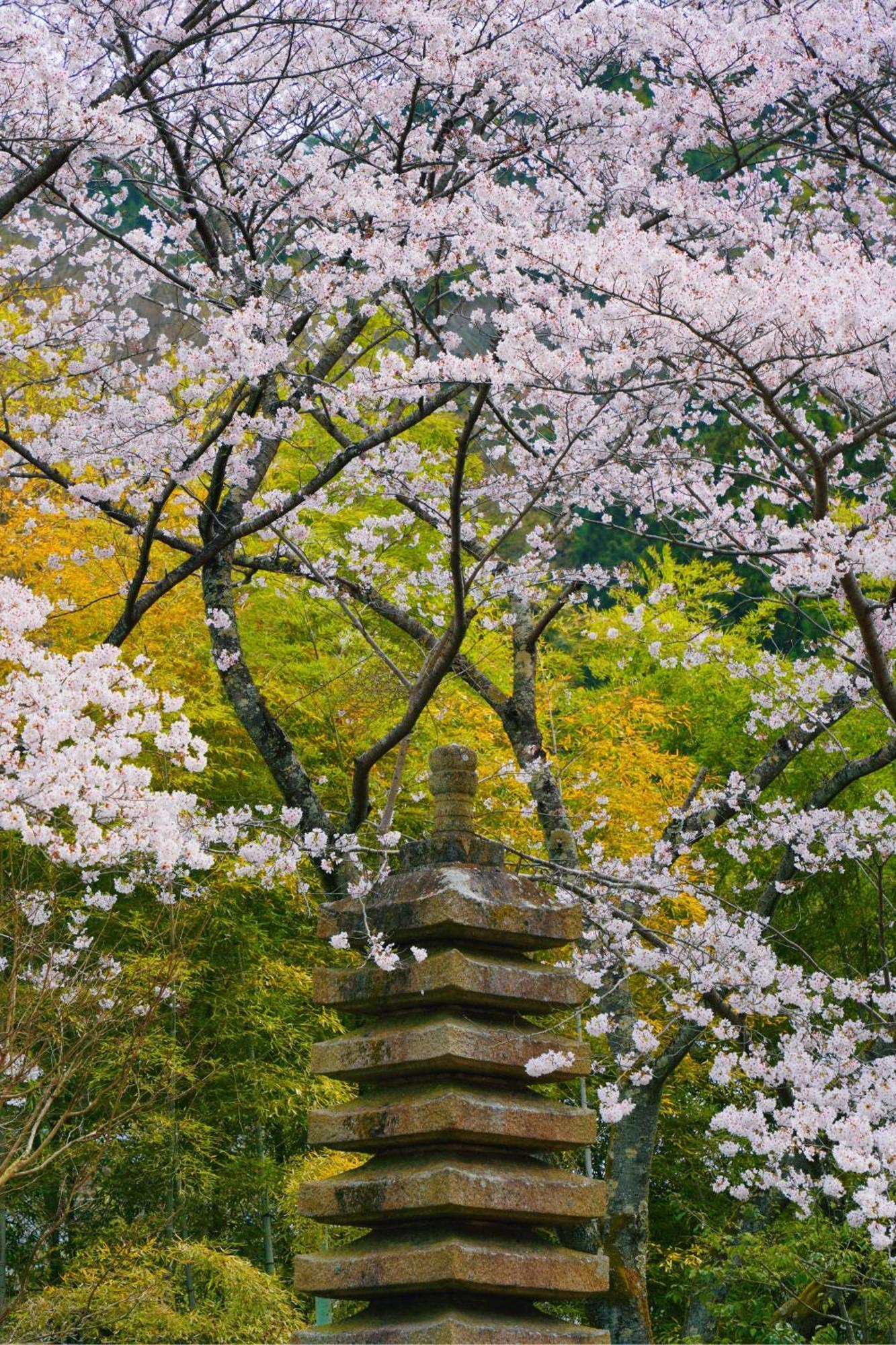 Oukai Villa Izumi Izumi  Экстерьер фото